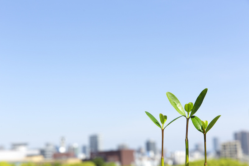 株式会社副島架設